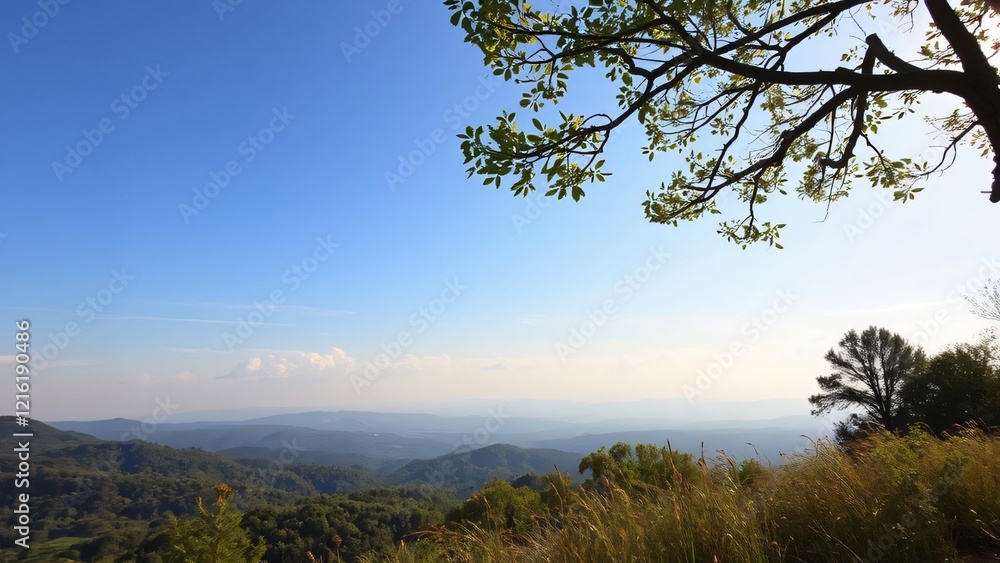 Panoramic Mountain View with Overhanging Tree Branch on a Sunny Day