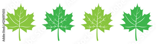 Set of flat maple leaf shape icons isolated. Maple leaf icon set in green color. Forest and wood signs symbol. Vector illustration. Flat design.