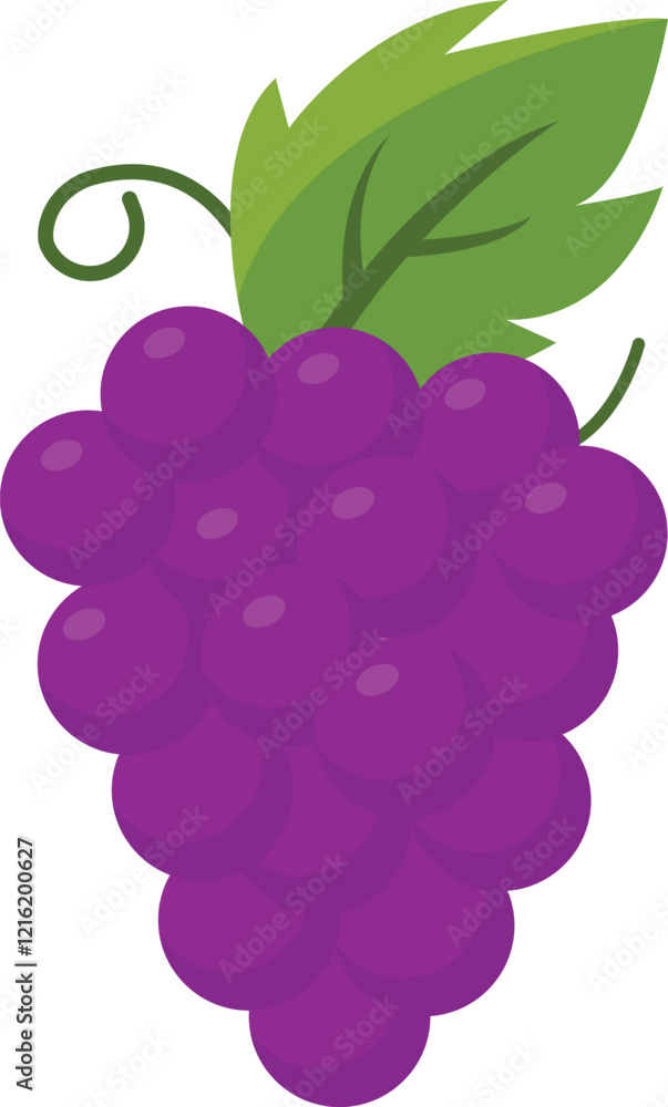 Grapes Fruit Cartoon Ilustration Design Grapes Fruit Cartoon Ilustration Design
