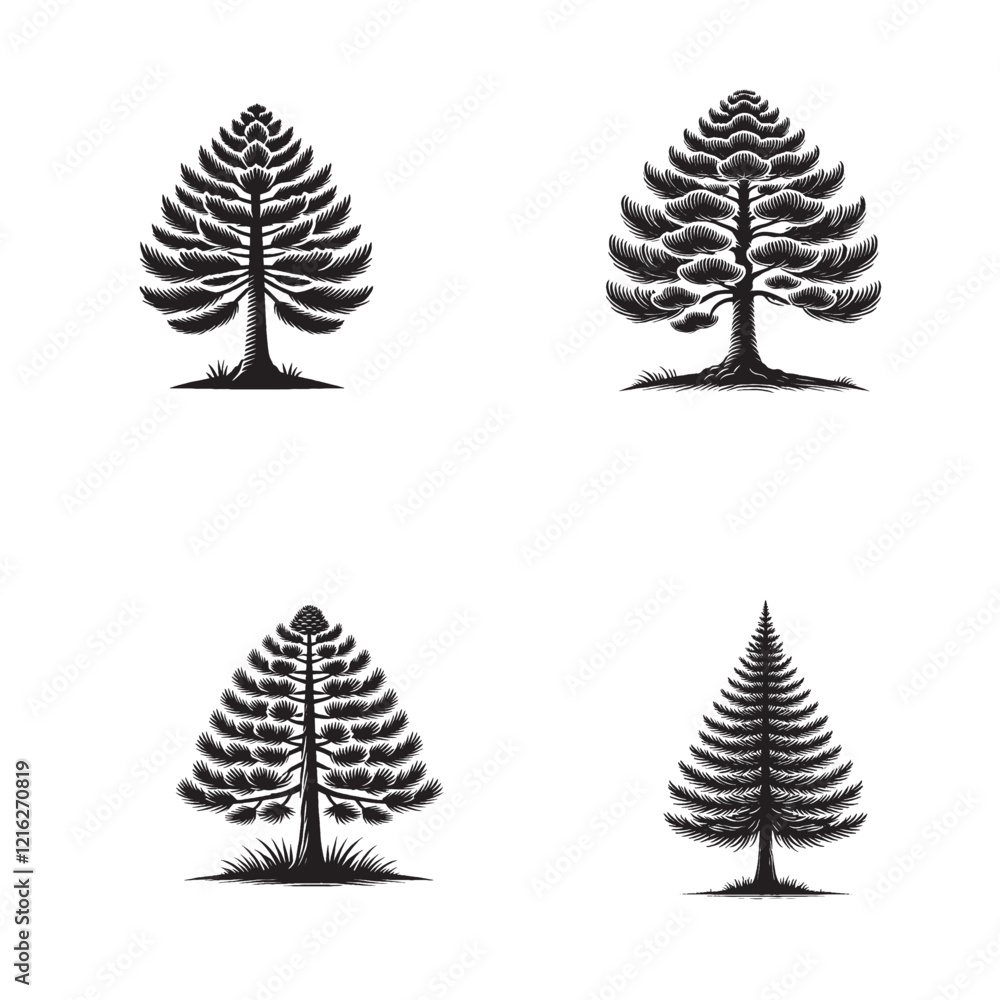 Naklejka premium detailed Vector Silhouette of the Sugar Pine Tree Isolated on a White Background