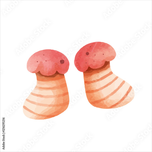 two pieces of meat on a white background