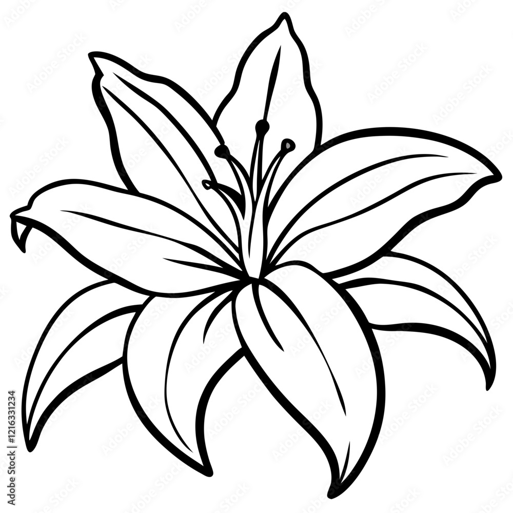 Fototapeta premium black and white lily