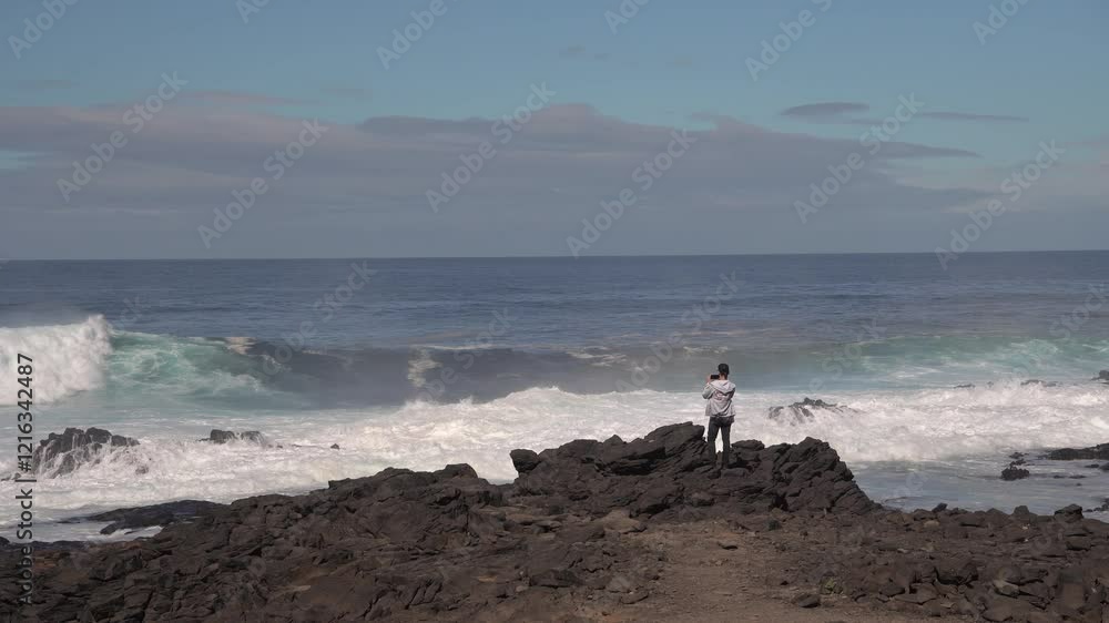 Majestic waves crashing on a tropical island coast, observed by a peaceful figure enjoying the tranquil scenery. Majestic waves crashing on a tropical island coast, observed by a peaceful figure enjoying the tranquil scenery.