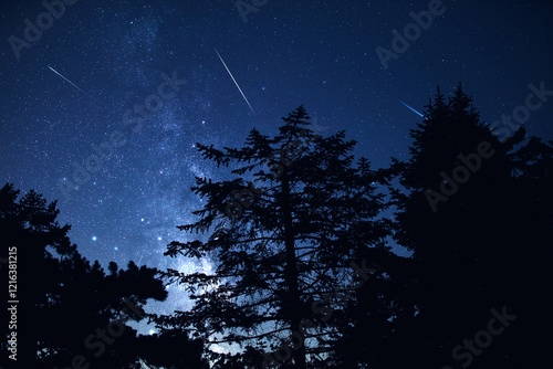 Milky Way stars with meteor shower trails and countryside tree silhouettes.