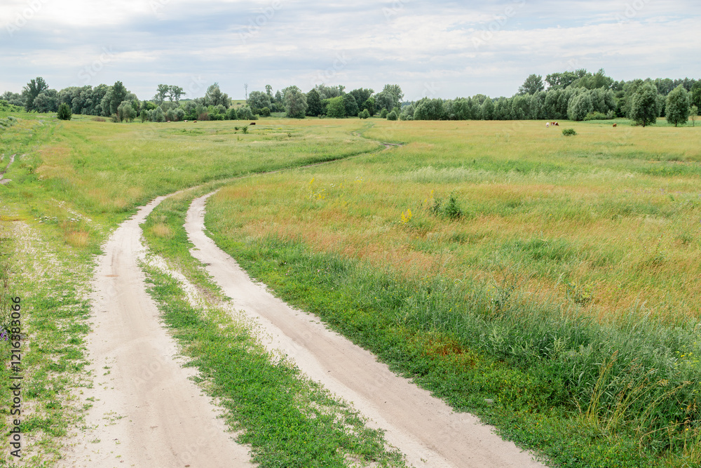 A scenic dirt road curving through a green meadow with trees in the distance under a partly cloudy sky. A scenic dirt road curving through a green meadow with trees in the distance under a partly cloudy sky.