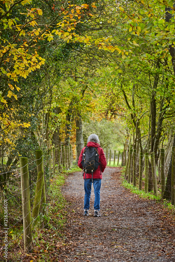 Fototapeta premium Senior woman in a pathway. Forest in autumn scenery. Hiking