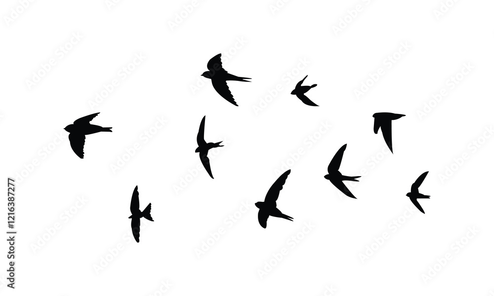 Flying Black Swift Bird Silhouette Design And Vector Illustration. Flying Black Swift Bird Silhouette Design And Vector Illustration.