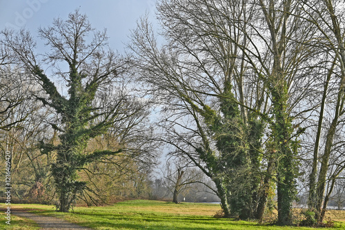 Inverno in Lombardia, campagna, giardini e bosco del lago di Basiglio e Milano 3 photo