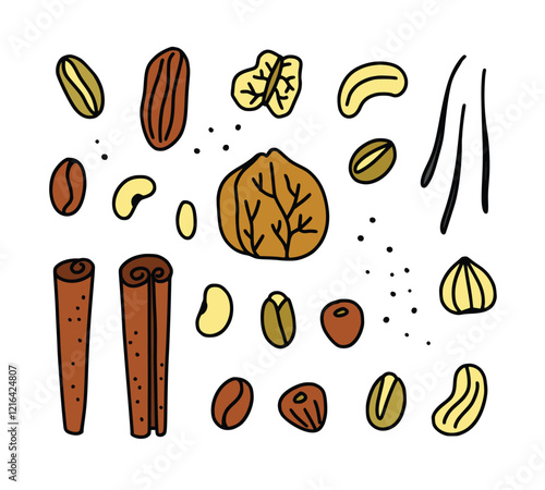 Nuts doodle illustrations. Cute nuts and spices illustrations on white background