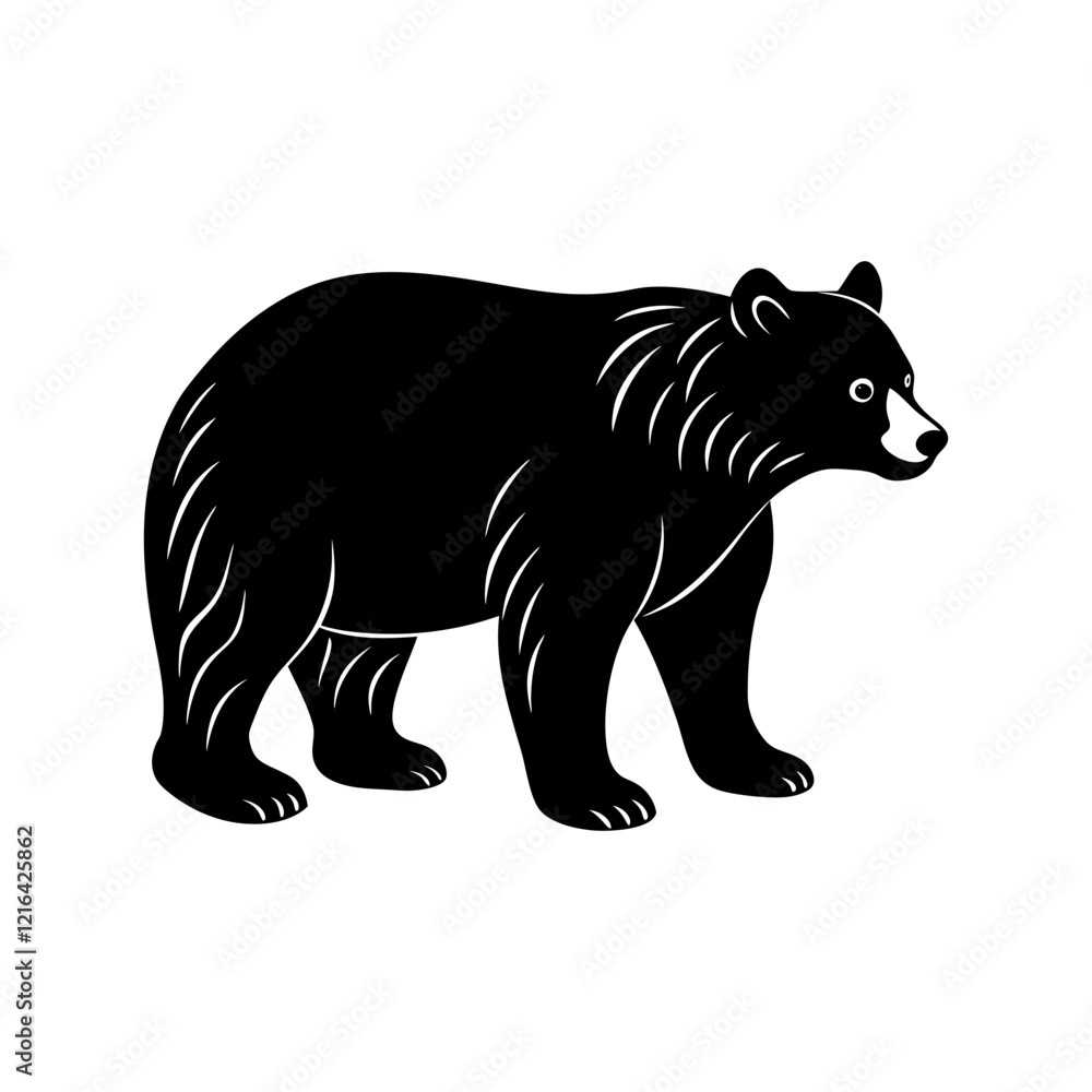 illustration of a bear illustration of a bear