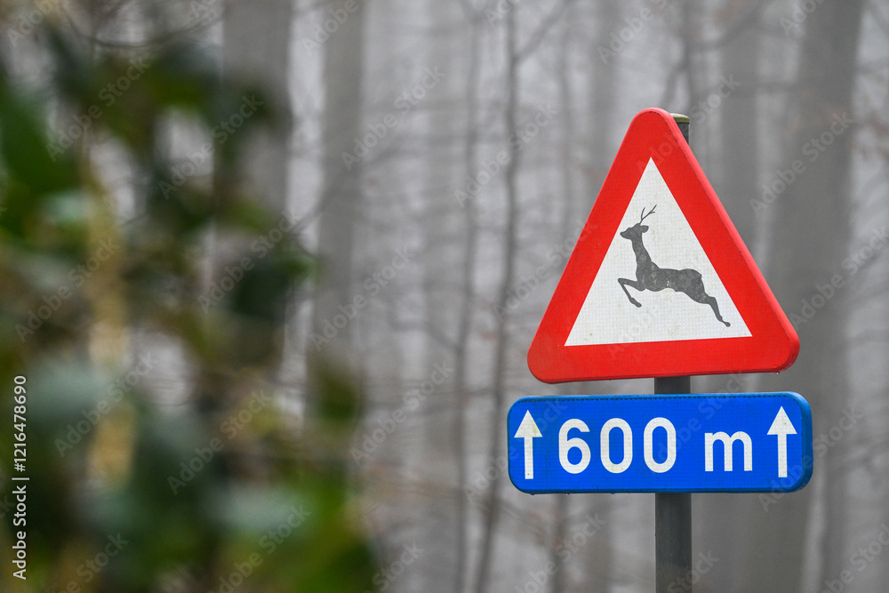 route danger gibier animaux foret route danger gibier animaux foret