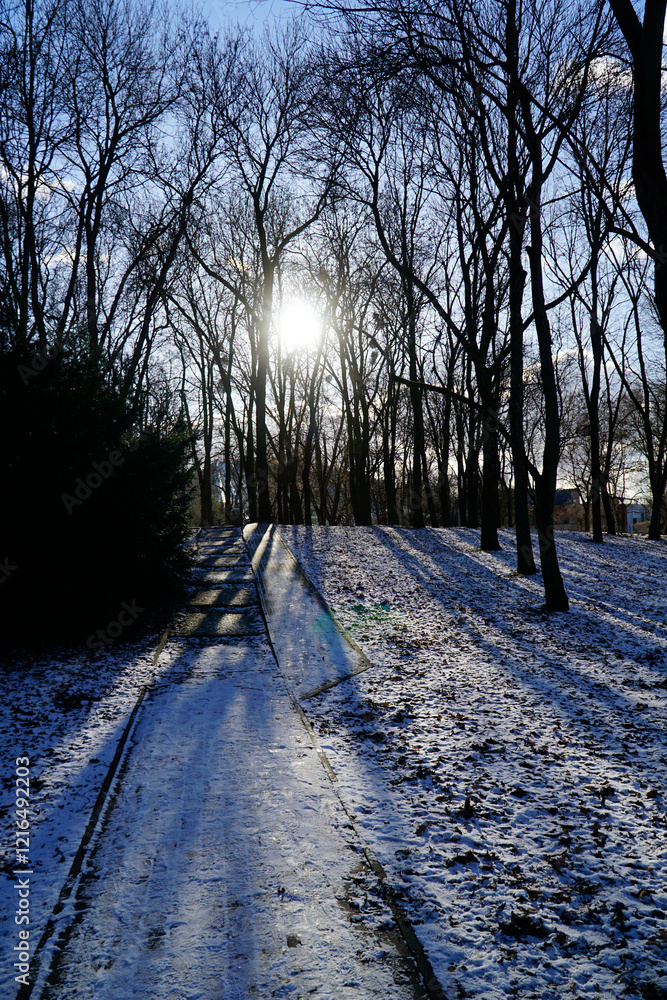 Sun shining through trees in park and casting shadows Sun shining through trees in park and casting shadows