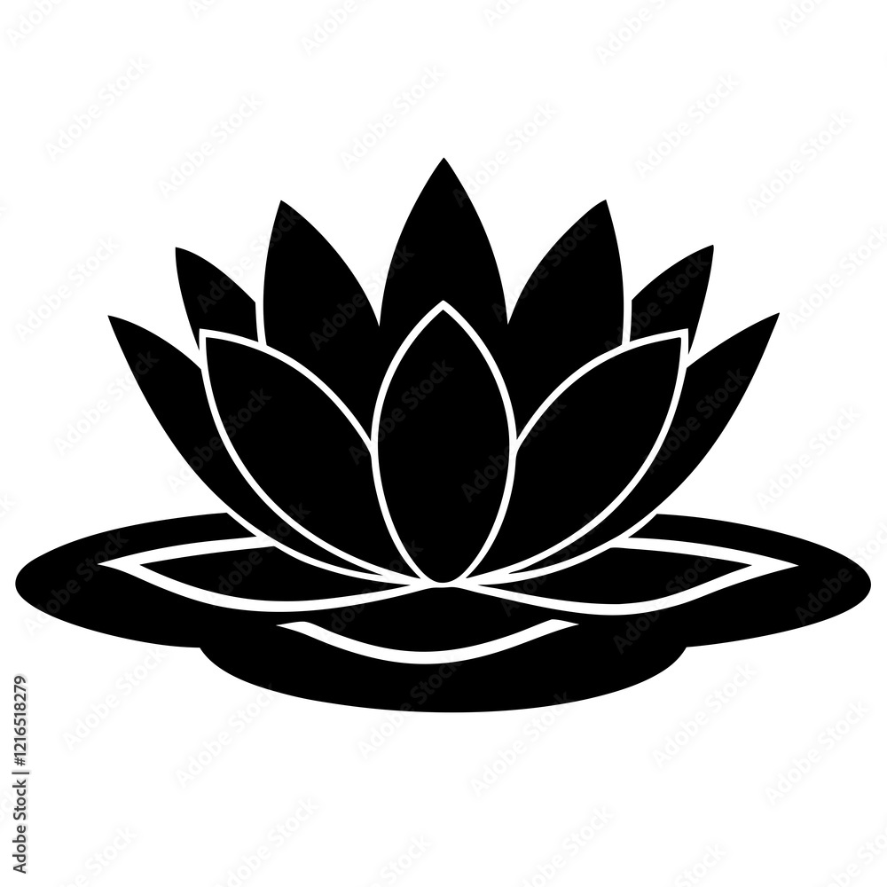 lotus flower lotus flower