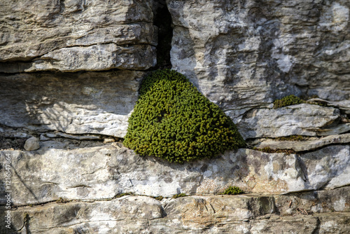 Texture of nature stone - grunge stone surface background