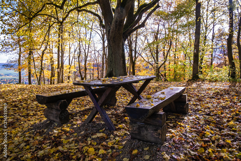 A Beautifully Serene Autumn Picnic Table Placed Perfectly in a Tranquil Forest Setting