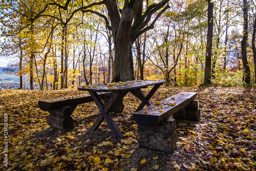 Obraz na płótnie A Beautifully Serene Autumn Picnic Table Placed Perfectly in a Tranquil Forest Setting w salonie