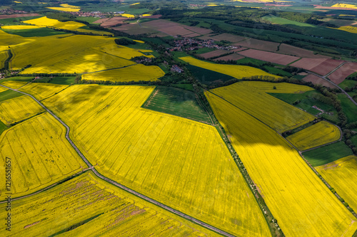 Top view of rapeseed fields. Yellow rapeseed field with stripes and abstract landscape. Germany.