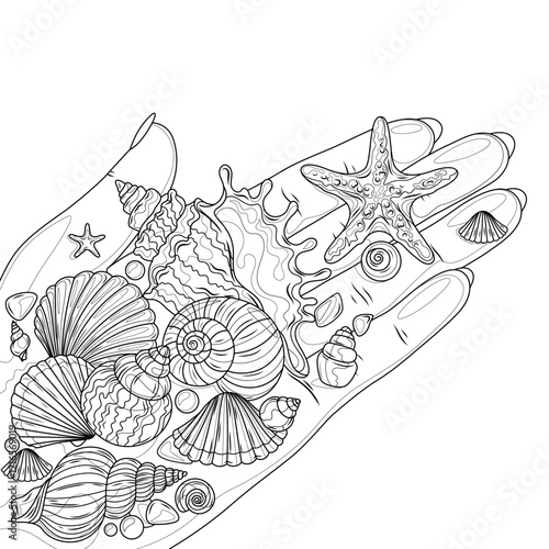 Sea shells in hand.Coloring book antistress for children and adults.