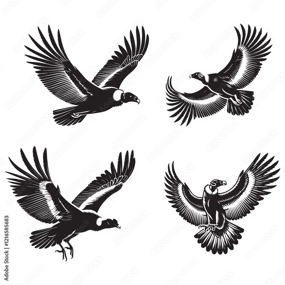 Obraz premium BLACK VECTOR SILHOUETTE of the Andean Condor on White Background