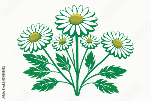 Botanical image of a Matricaria chamomilla A.eps