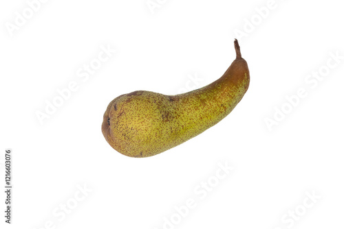 Abate Fetel Pear on White Background – European Pear Variety from France, Isolated and Fresh photo