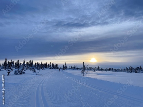 Snowy Nordic skiing tracks stretch into the horizon under a cloudy sky at sunset in Sjusjøen, Norway. Snow-laden trees frame the scenic landscape