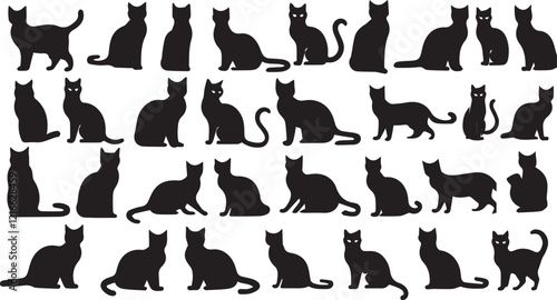 Cat collection vector silhouette pet  kitten animal set cat kitty pets silhouette