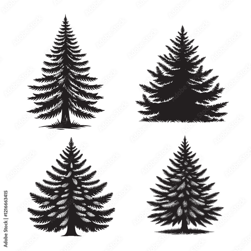 Obraz premium Vector Detailed Black Silhouette of the Balsam Fir Tree on White Background