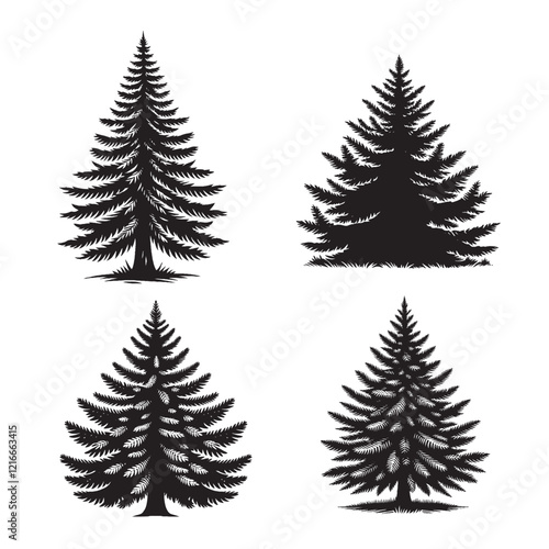 Vector Detailed Black Silhouette of the Balsam Fir Tree on White Background"