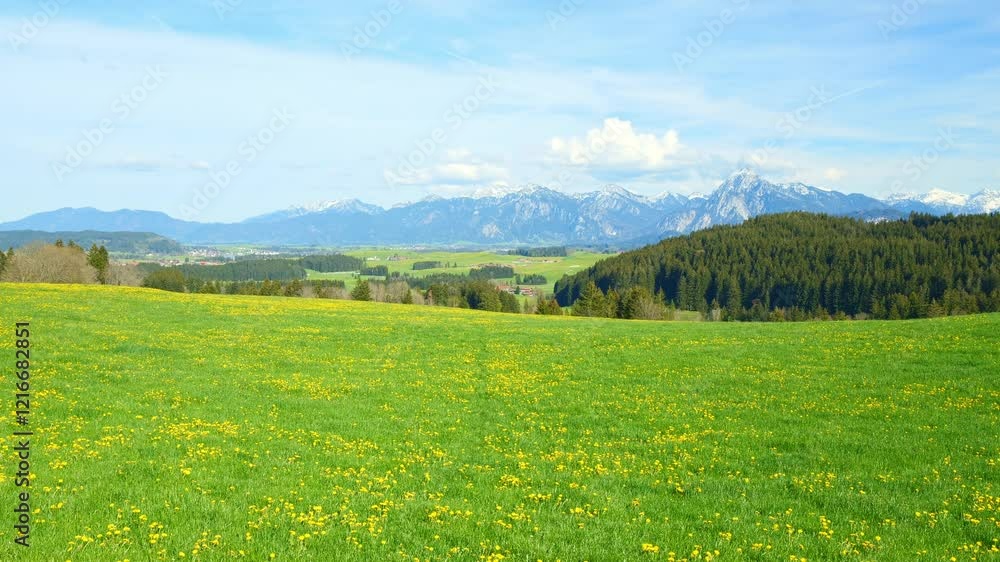 Countryside Tranquility in the Bavarian Spring Countryside Tranquility in the Bavarian Spring
