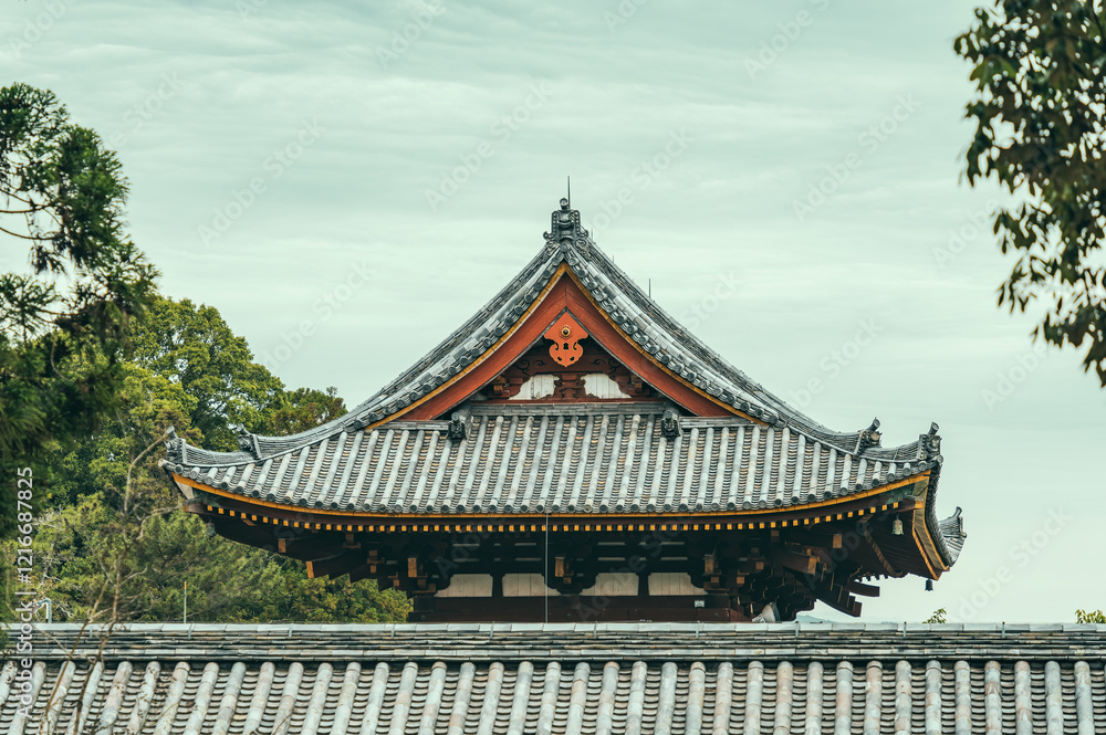 Fototapeta premium Architectural detail with the rooftop of a buddhist temple in Nara, Japan. Traditional Japanese architecture