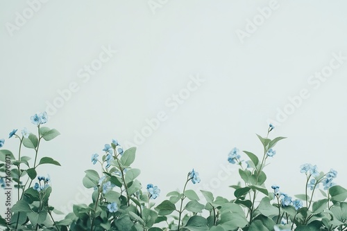 Wallpaper Mural Enchanted Forget-Me-Nots: A Stunning High-Definition Floral Display, Perfect for Your Designs! hd    Torontodigital.ca