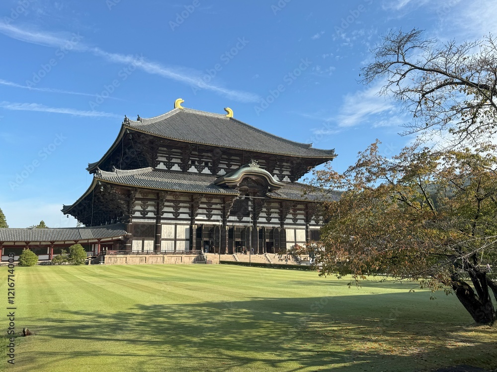 Obraz premium Todai-ji, the Japanese Buddhist temple, the largest wooden structure in the world, stands gracefully under the blue sky, built in Nara period, when Nara city originally served as the capital of Japan.