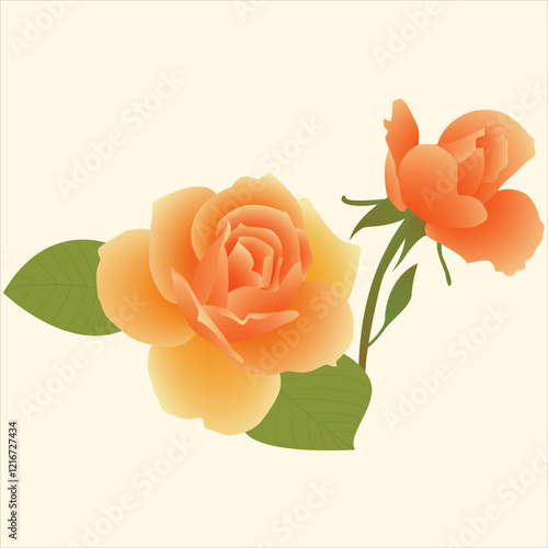 Realistic Natural Rose Vector Illustration photo