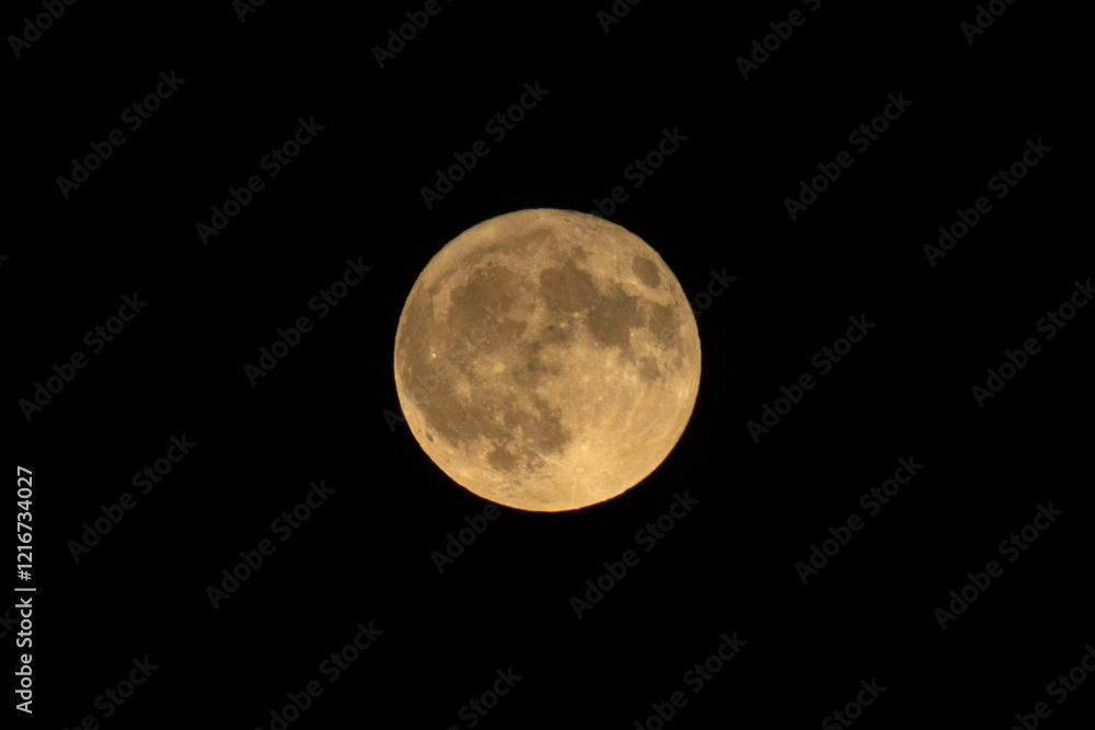 Fototapeta premium Fotografia, Natureza e Vida Selvagem