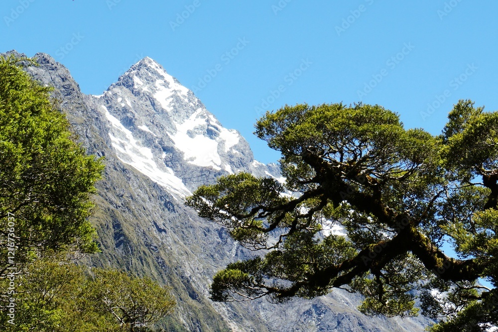the divide, routeburn track, fiordland national park, te anau, new zealand the divide, routeburn track, fiordland national park, te anau, new zealand