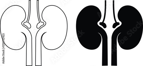 Human Kidney Nephrology line and flat Icon, showing various health and medicine concepts designs, Human body related internal organ. Anatomical kidneys symbol on isolated transparent background.