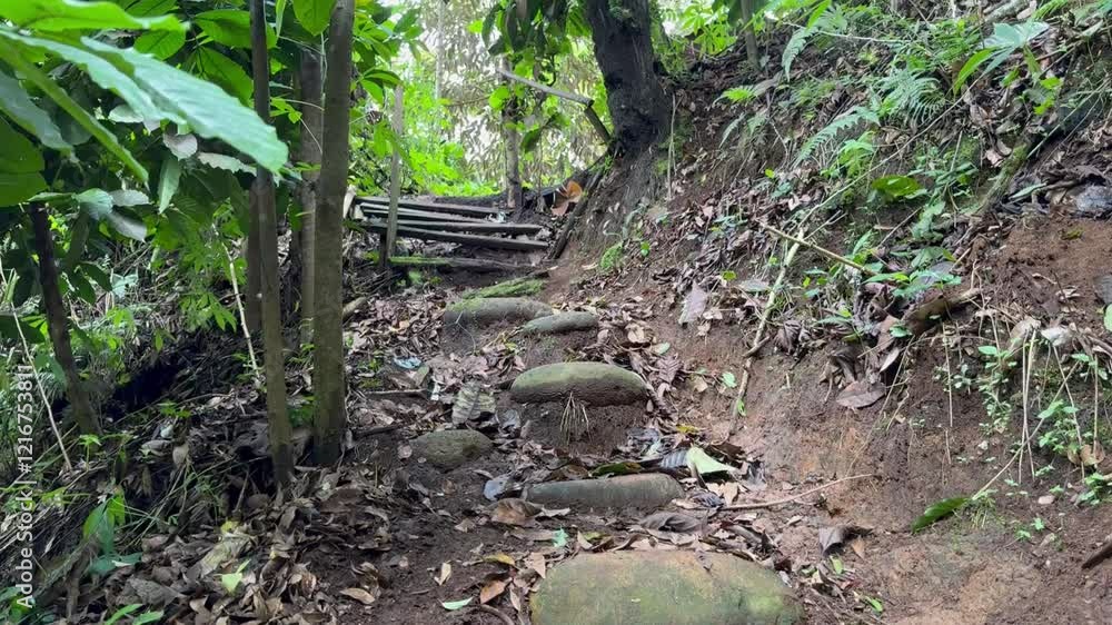 Old stone footpath with log steps in a forest setting Old stone footpath with log steps in a forest setting