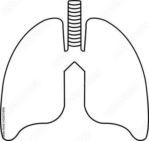 Human lungs line icon. Showing various medical and respiratory concepts designs, Human body related internal organ. Anatomical lungs symbol on isolated transparent background. Human anatomy.