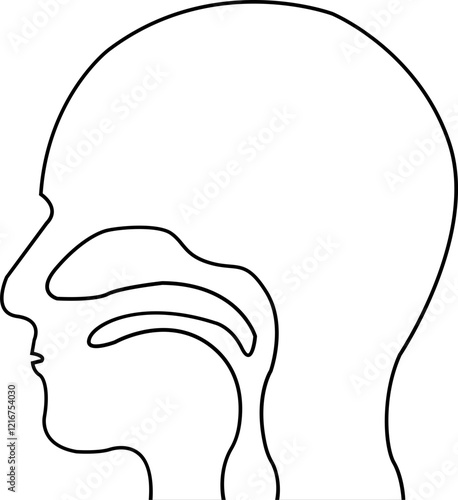 Human throat line icon, showing various health and medicine concepts designs, Human body related internal organ. Anatomical throats symbol on isolated transparent background. Human anatomy.