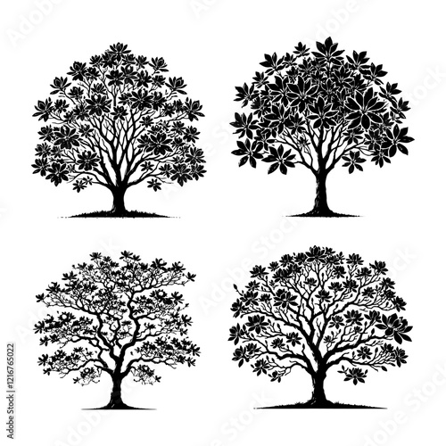 Vector Detailed Black Silhouette of the Sweetbay Magnolia Tree on White Background