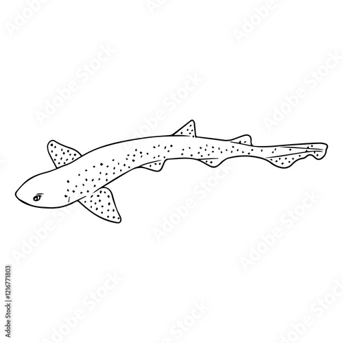 dogfish outline vector illustration