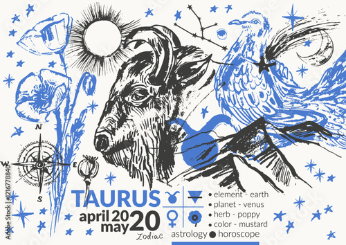 Hand drawn taurus zodiac signs illustration, horoscope background with astrology symbols and talismans