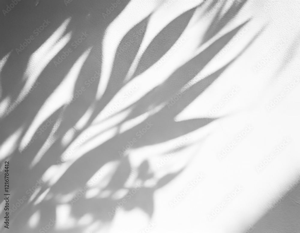 GenerateAbstract natural tree leaves shadow on white wall backgroundd image GenerateAbstract natural tree leaves shadow on white wall backgroundd image