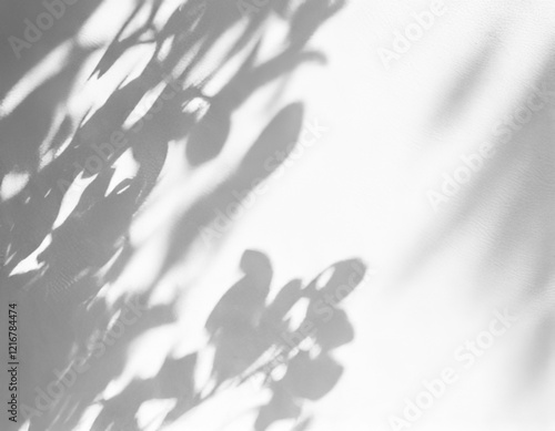 GenerateAbstract natural tree leaves shadow on white wall backgroundd image