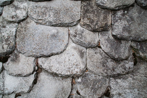 Texture of a Traditional Slate Roof