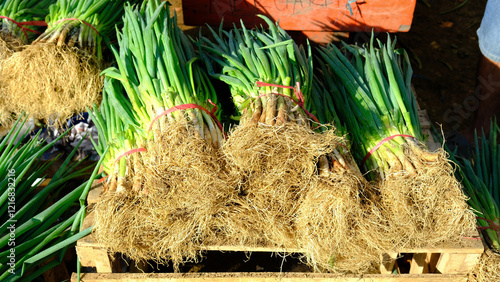 Fresh bundles of green onions displayed on wooden crates at a Philippine market, highlighting farm-fresh produce, sustainable agriculture, and vibrant market scenes for culinary.