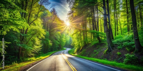 Asphalt Road Winding Through Lush Green Forest, Sunny Day, Blue Sky - Stock Photo