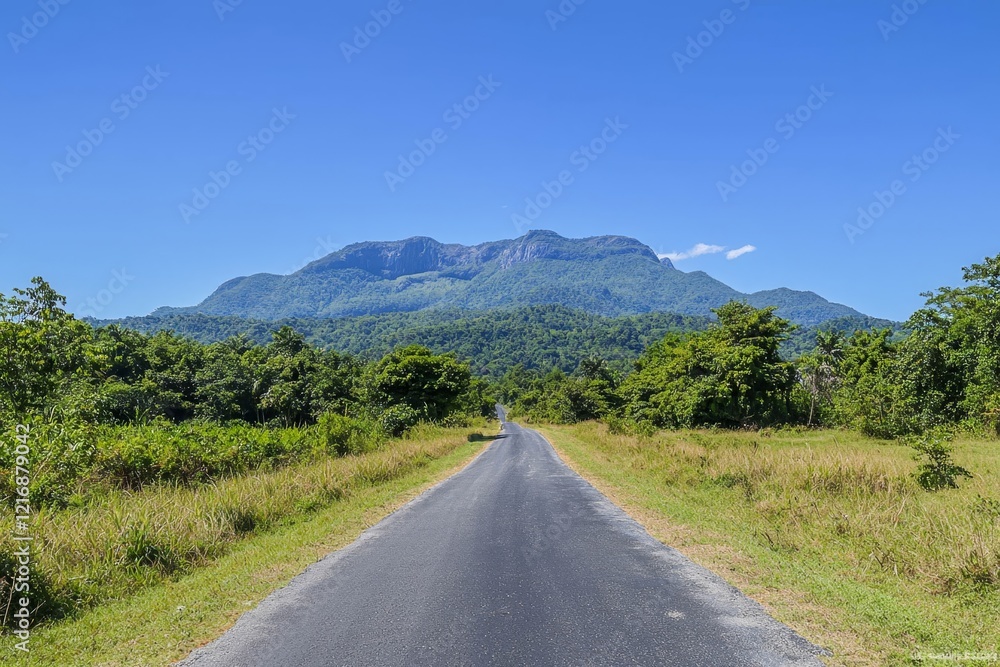 An empty road leading to a mountain range under a clear blue sky, with vibrant greenery on both sides. An empty road leading to a mountain range under a clear blue sky, with vibrant greenery on both sides.