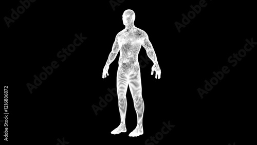 A 3D wireframe human figure rendered in white dots against a black background, emphasizing anatomy, geometric precision, and artistic modern design